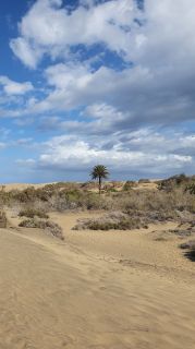 2023-GC--Mapalomas dunas-S123-067.jpg